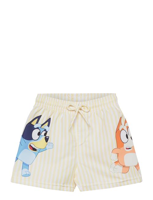 Bluey | Swimwear | 98