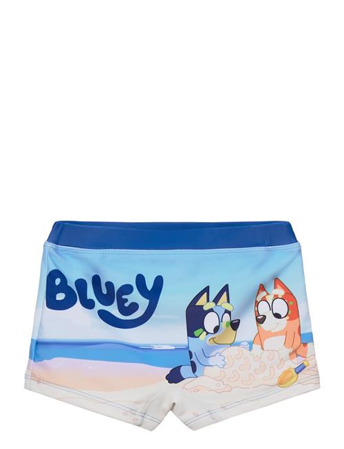 Bluey | Swimwear | 104