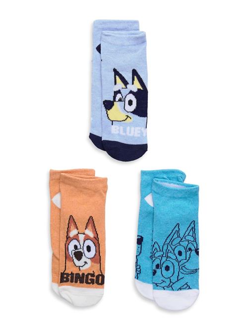 Bluey | Socks | 23/26