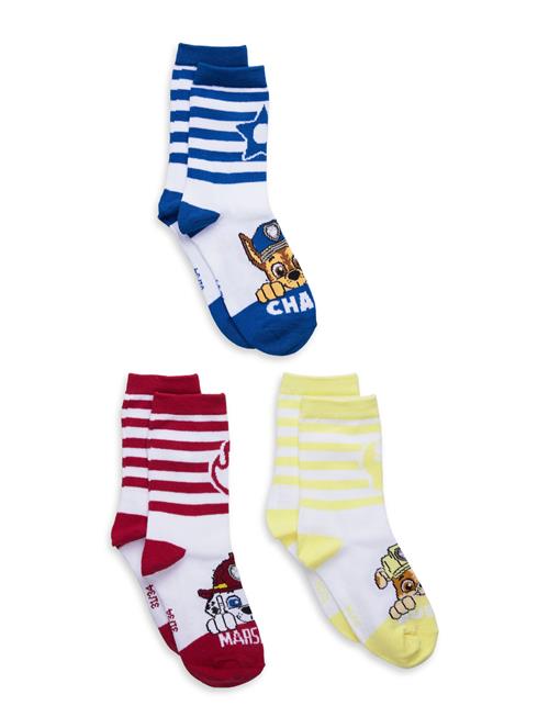 Paw Patrol | Socks | 27/30