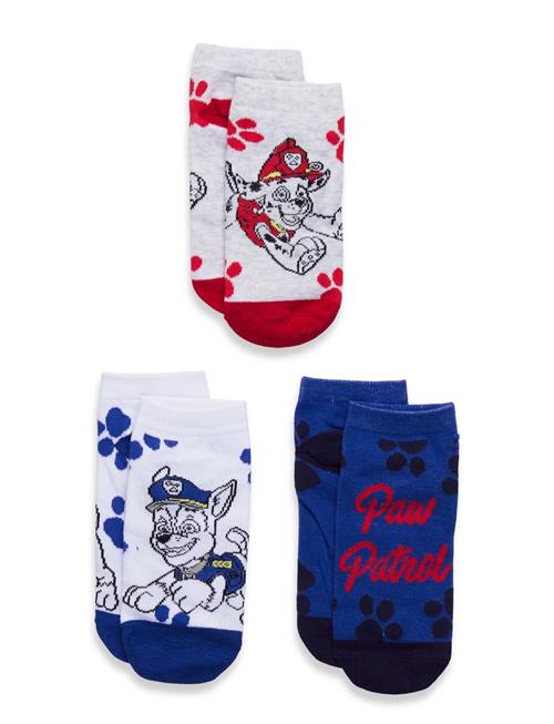 Paw Patrol | Socks | 27/30