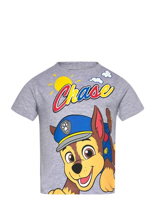 Paw Patrol | Tshirt | 116