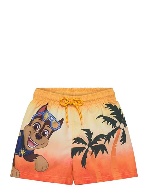 Paw Patrol | Swimwear | 110