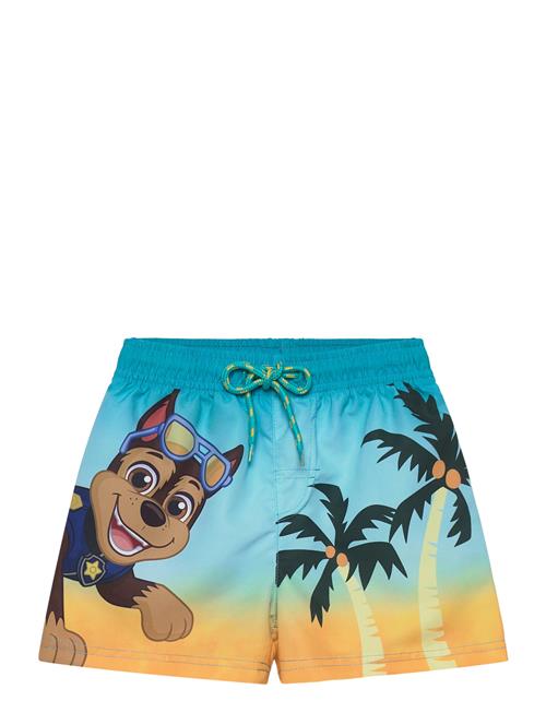 Paw Patrol | Swimwear | 104