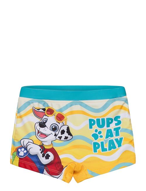 Paw Patrol | Swimwear | 116