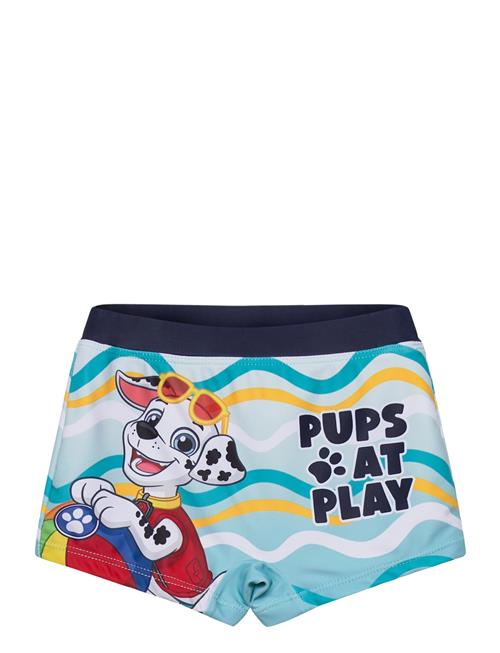 Paw Patrol | Swimwear | 110