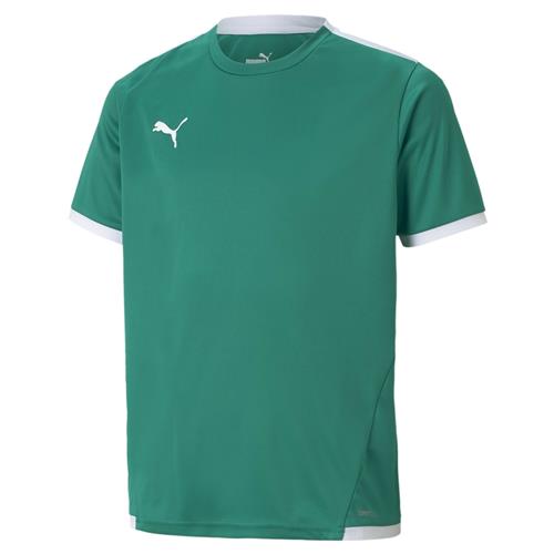 PUMA Funktionsskjorte 'TeamLIGA'  smaragd / hvid
