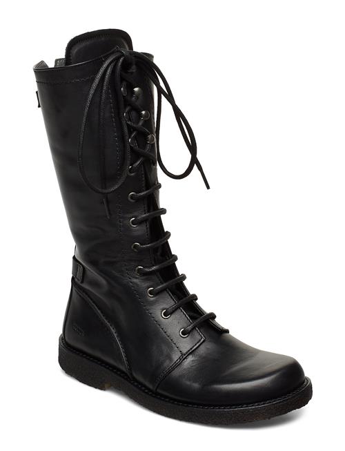 ANGULUS | Boots - Flat - With Laces | 40