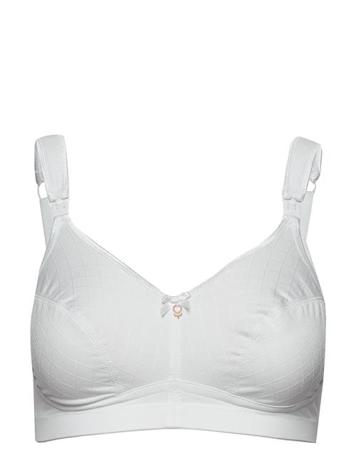 Abecita | Leonarda Soft Maternity Bra White | G x 90