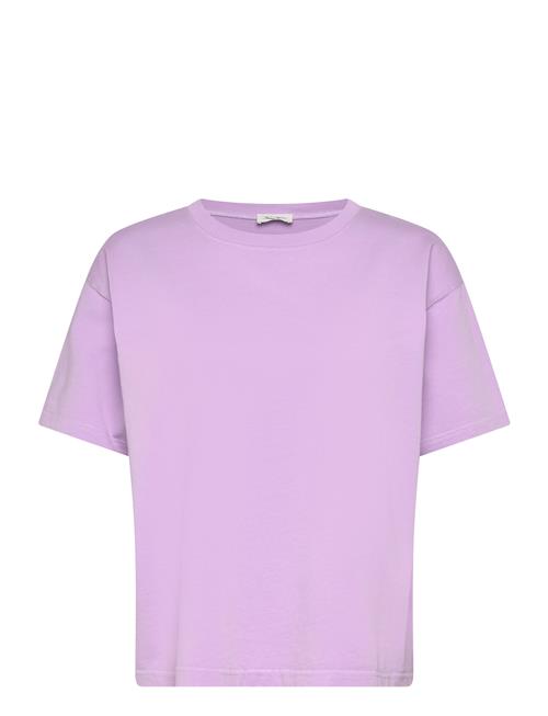 American Vintage | Fizvalley | L