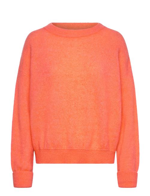 American Vintage | Vitow | S