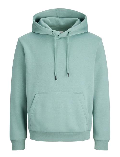 Jack & Jones | Jjebradley Sweat Hood Noos | S