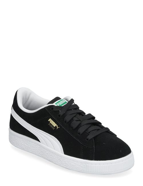PUMA | Suede Classic Ps | 31