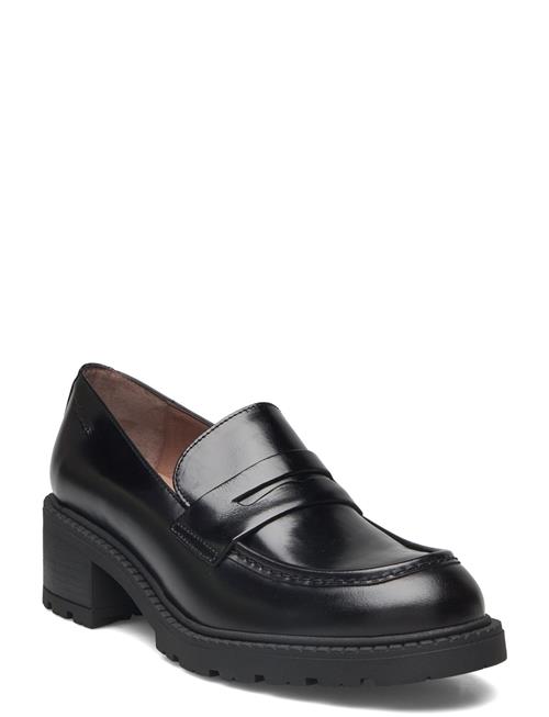 Wonders | Evoclub 01 | 40