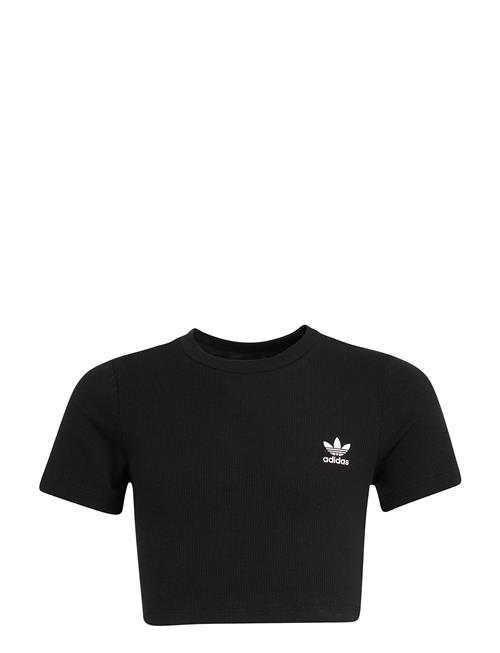 Se adidas Originals | Rib Crop Tee | 170 hos Booztlet