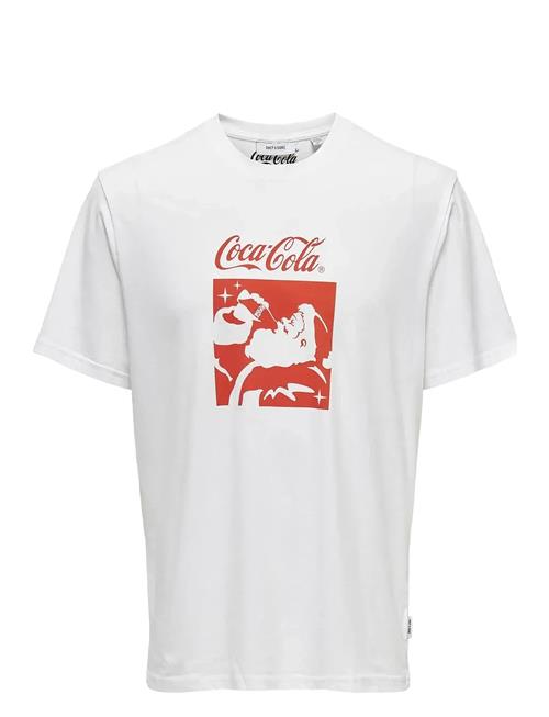 ONLY & SONS | Onscola Reg Ss Tee | S