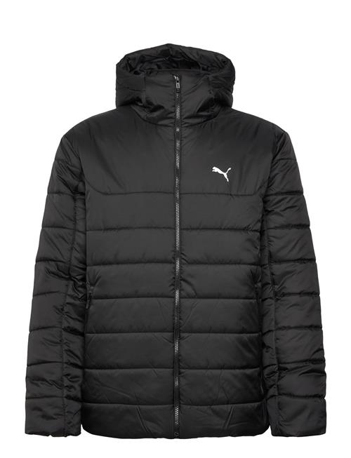 PUMA | Ess Hooded Padded Jacket | XXL