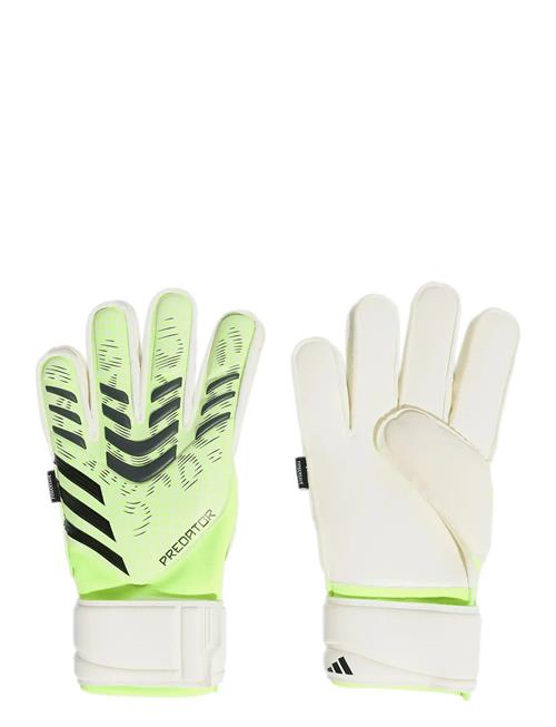 adidas Performance | Pred Gl Mtc Fs | 10