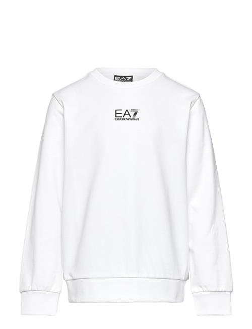 EA7 | Sweatshirt | 104