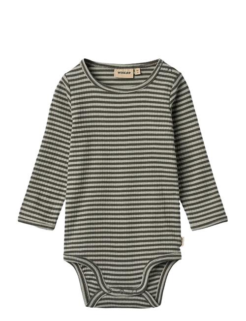 Wheat | Body L/S Berti | 56