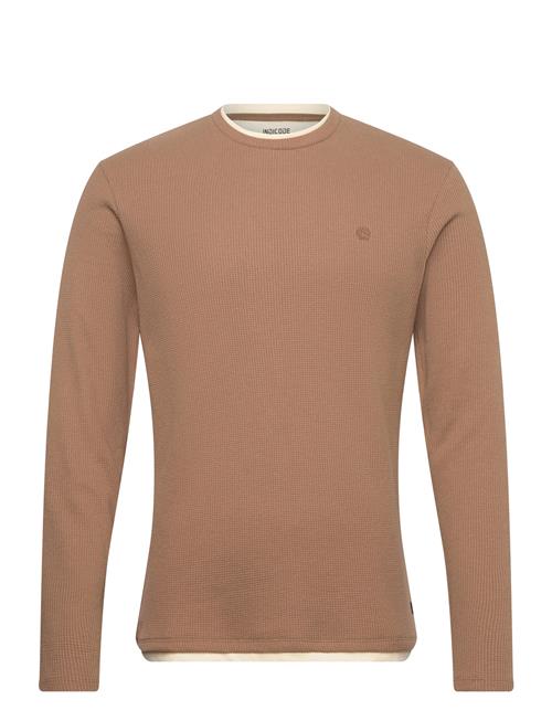 INDICODE | Insigfinn | XXL