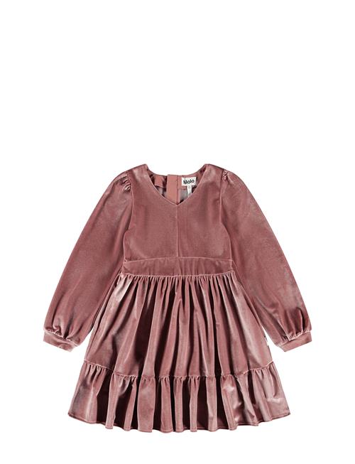 Molo | Calanthe | 158/164