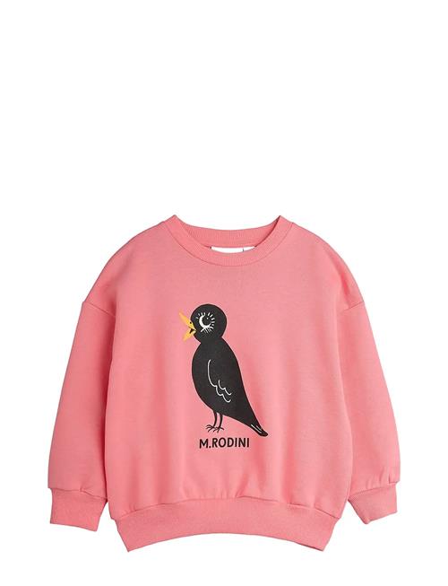 Mini Rodini | Blackbird Sp Sweatshirt | 104/110