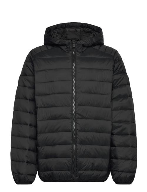 Jack & Jones | Jjebradley Light Puffer Hood Jnr | 140