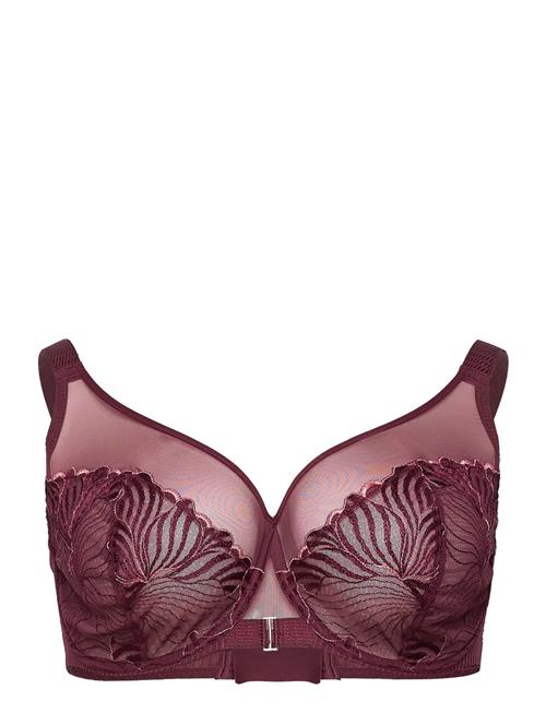 CHANTELLE | Legend Very Covering Underwired Bra | H x 85