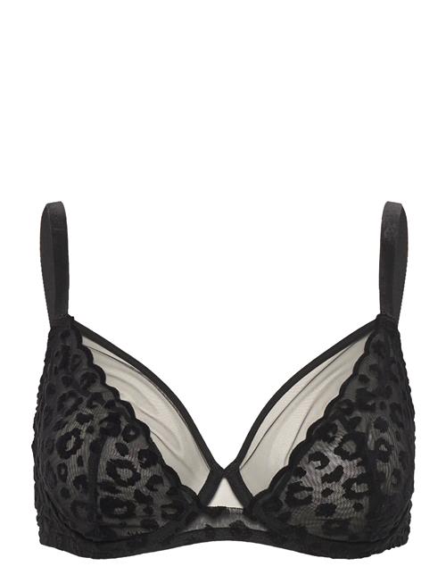 CHANTELLE | Girls Underwire Covering Bra | F x 65
