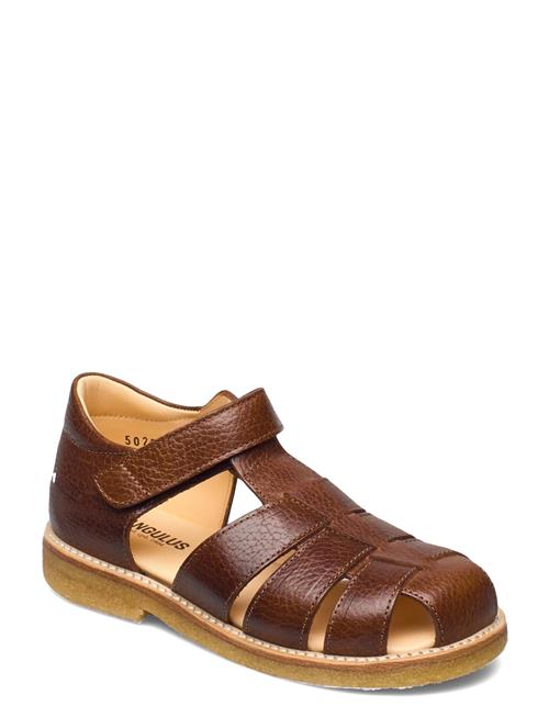 ANGULUS | Sandals - Flat - Closed Toe - | 32