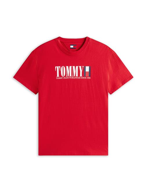 Tommy Jeans Bluser & t-shirts  mørkeblå / rød / hvid