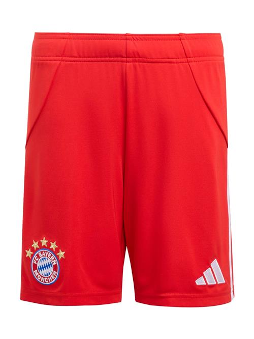 ADIDAS PERFORMANCE Sportsbukser 'FCB'  blå / guld / rød / hvid