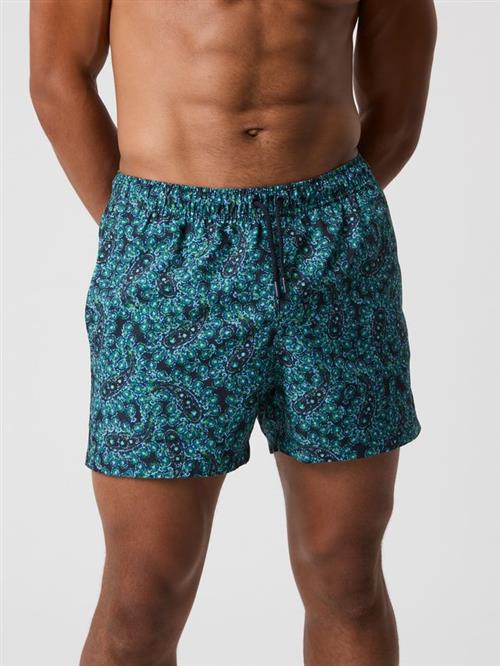 BORG PRINT SWIM SHORTS, BB WIDE STRIPE 2