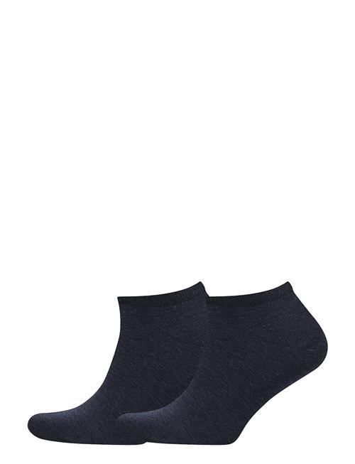 Tommy Hilfiger | Th Women Sneaker 2P | 39-42
