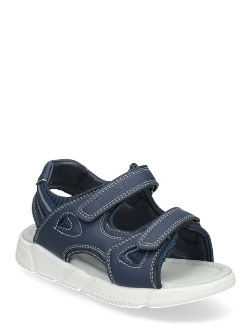 Exani | Andy Jr | 35