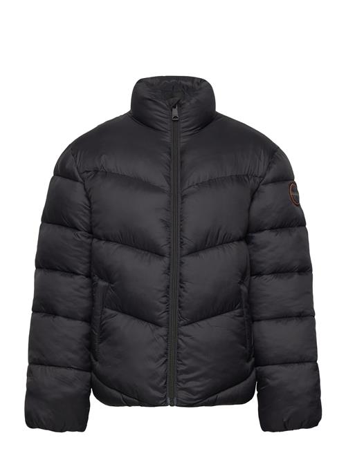 Napapijri | Carrel Puffer Jacket | 122-128