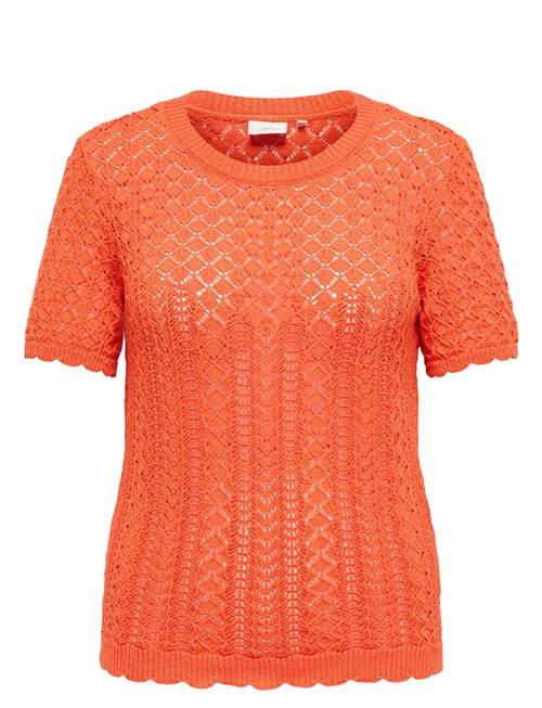 ONLY Carmakoma | Carsaga Life Ss O-Neck Knt | 42-44