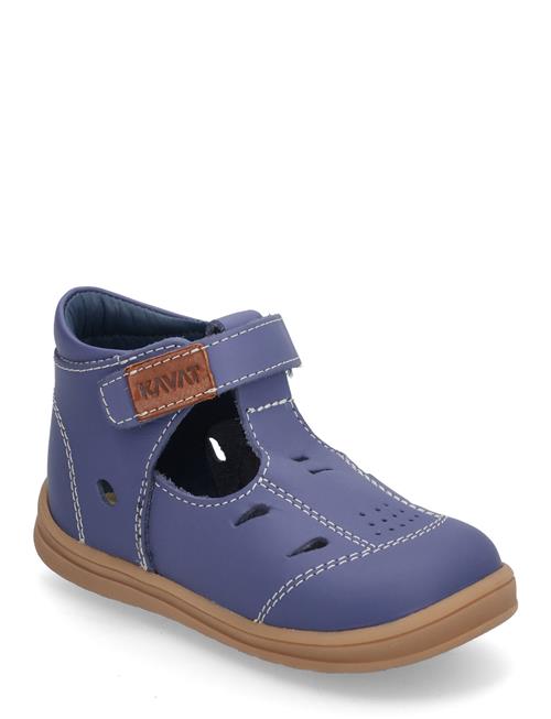 Kavat | Backe | 22/14.2CM