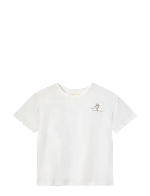 Fliink | Sommer Cactus T-Shirt | 104