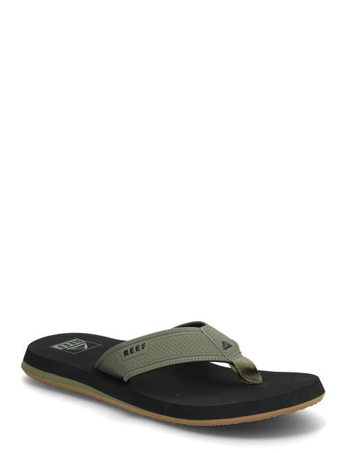 REEF | The Layback | 42