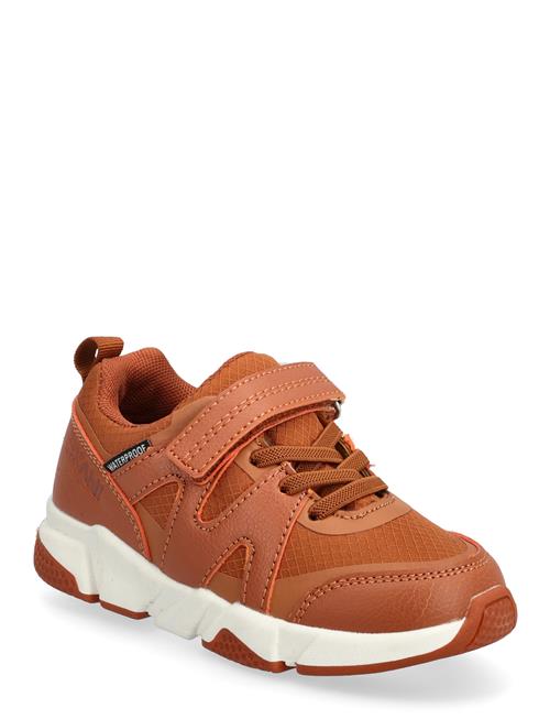 Exani | Bonnie K | 23