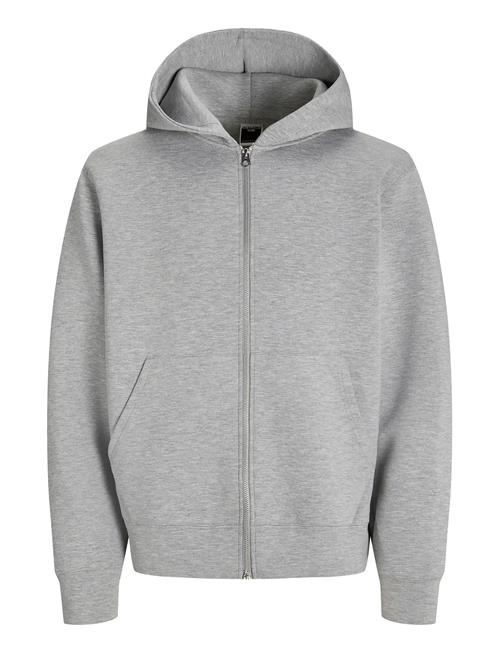 Jack & Jones | Jcocover Scuba Sweat Zip Hood Sn | L