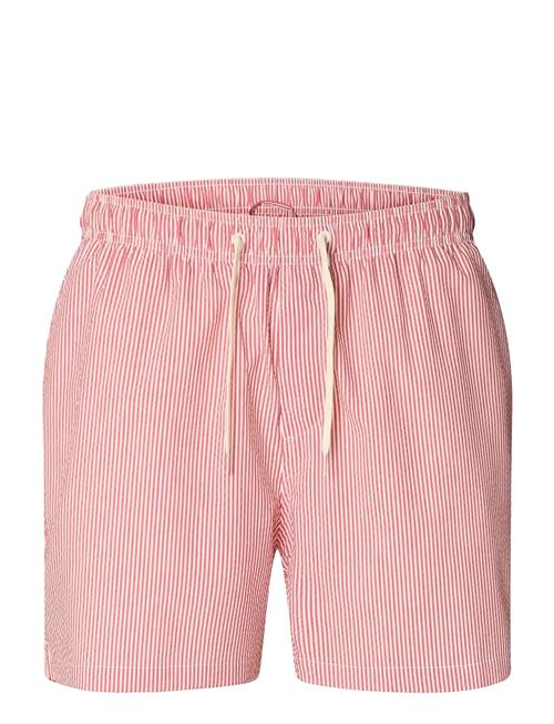 Selected | Slhcooper-Seersucker Swimshorts | M