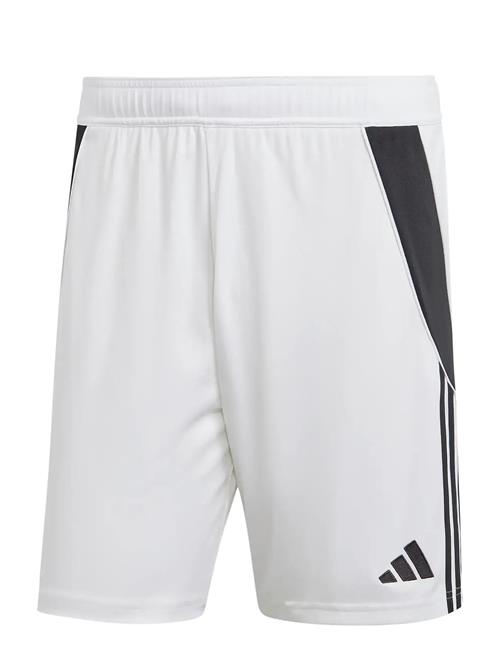 adidas Performance | Tiro24 Sho | XXL