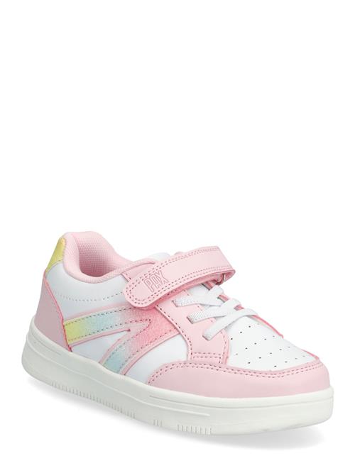 PAX | Blaze Pax | 29