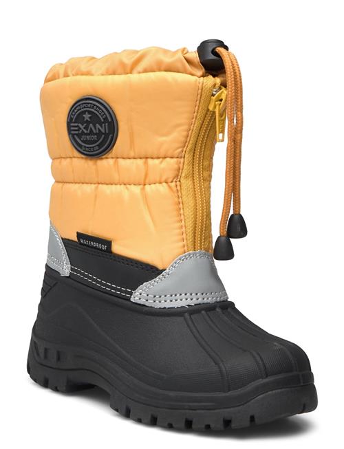 Exani | Tide K | 26-16.9CM