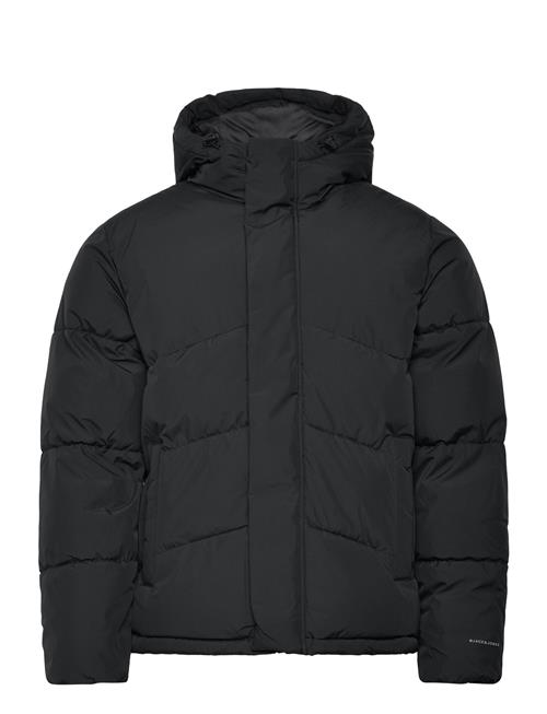 Jack & Jones | Jjworld Puffer Jacket | XL