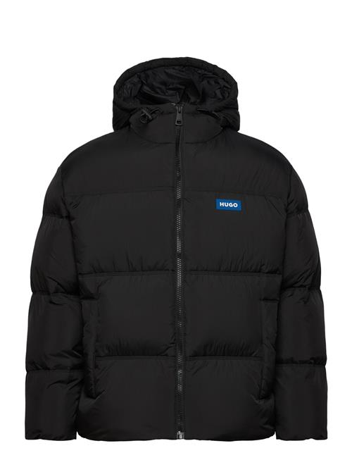 HUGO BLUE | Bodo2541 | L