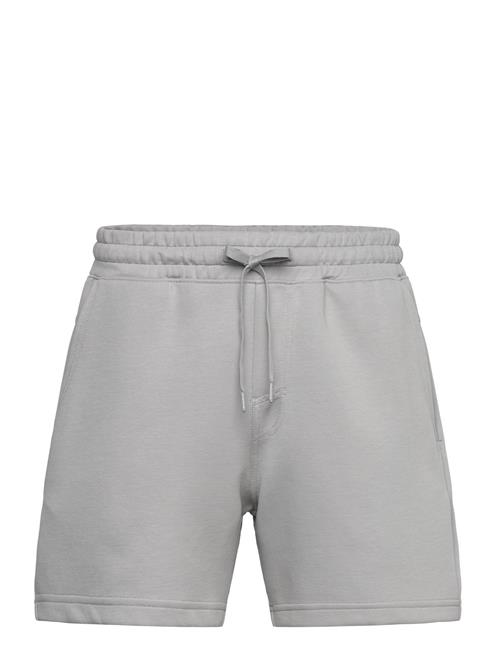 Hollister | Hco. Guys Shorts | L